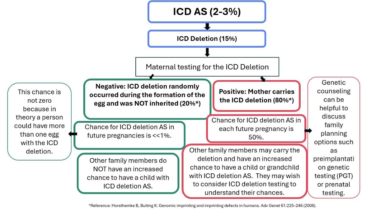 ICD Deletion Angelman Syndrome Algorithm