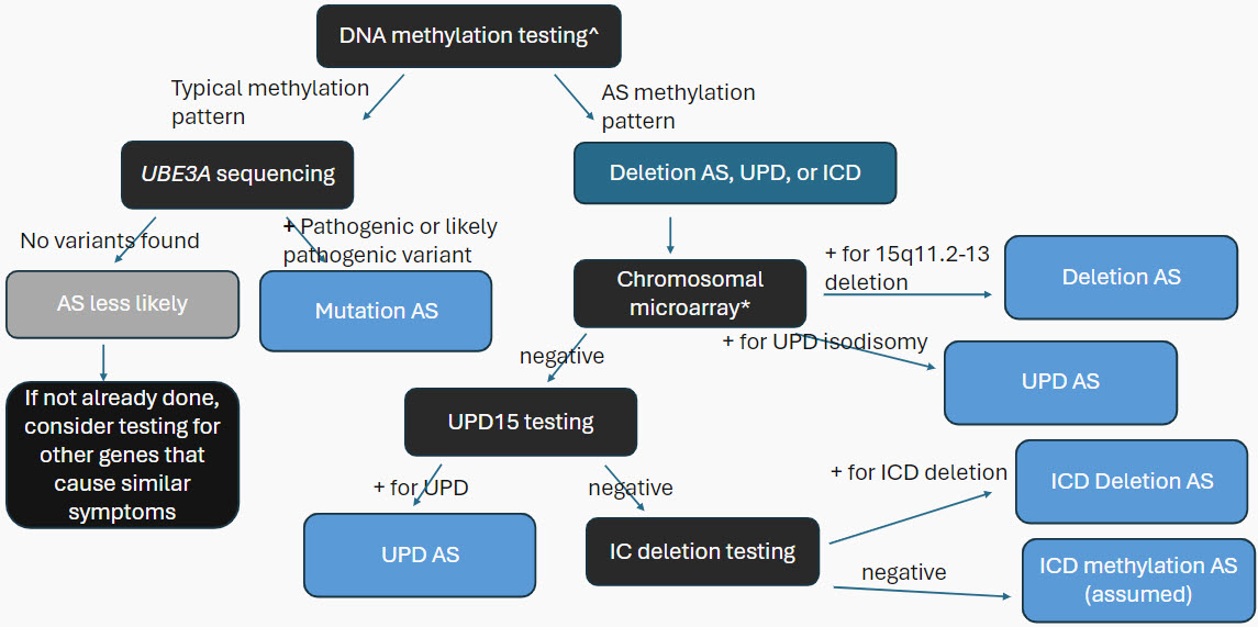 A chart describing the diagnostic testing for Angelman syndrome when AS is strongly suspected.