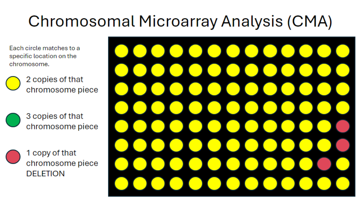 Graphic showing Chromosomal Microarray Analysis (CMA)​ testing.