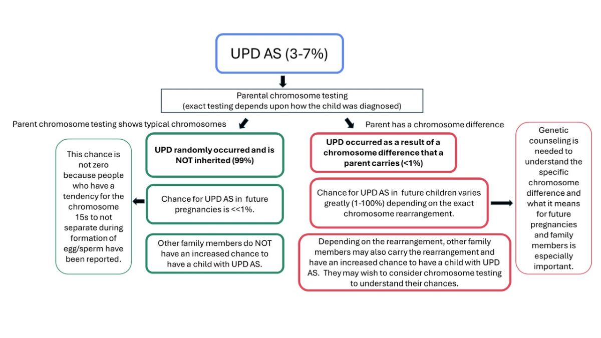 Algorithm summarizing potential results of parental testing and resulting chances for future pregnancies and other family members.