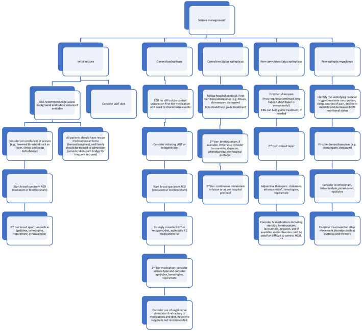 Flow chart about seizures and angelman syndrome