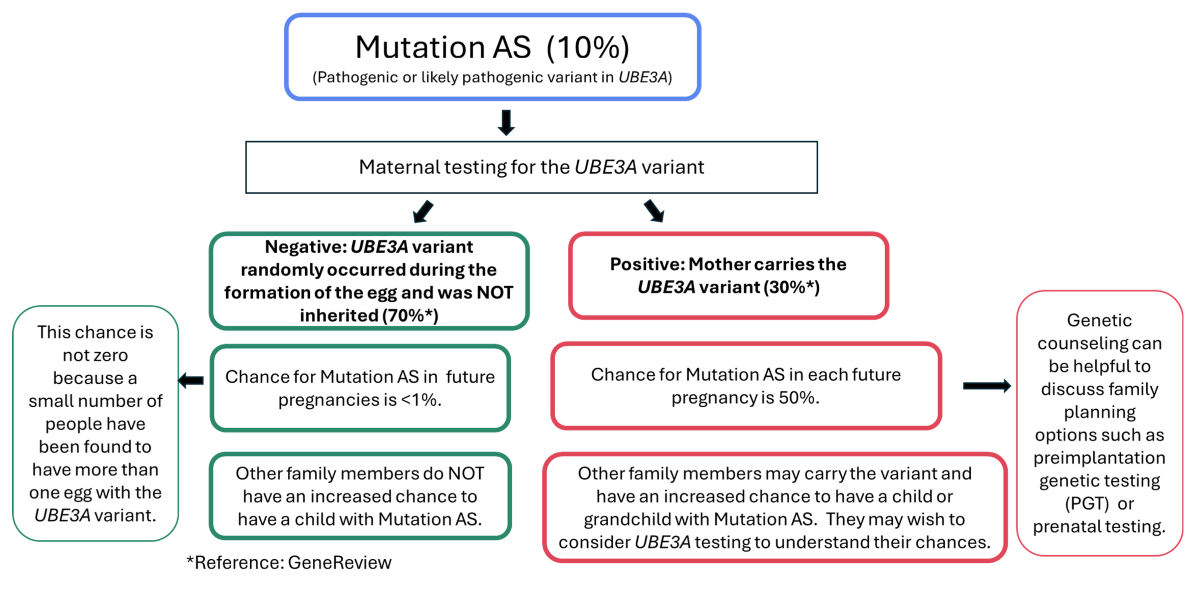 A flow chart describing testing for AS Mutation.