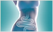 WIE WIRKT IMODIUM®?
