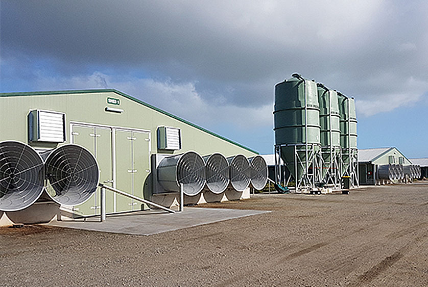 MagFan Plus - Imagen 5