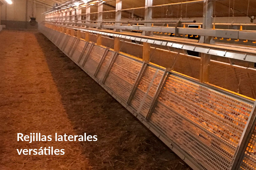 Flex Raise - Imagen 3