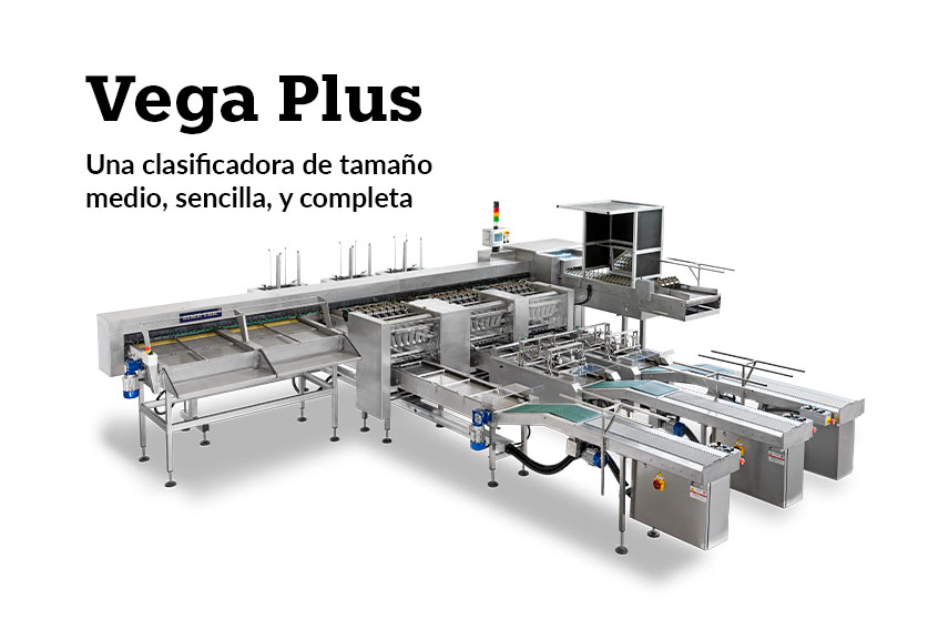 Vega Plus - Imagen 1