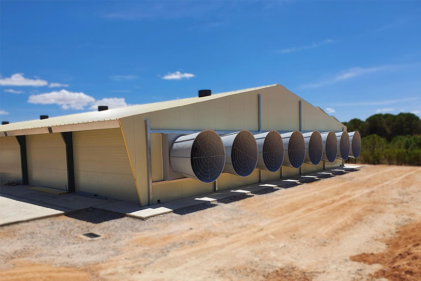 Magfan One - Imagen 3