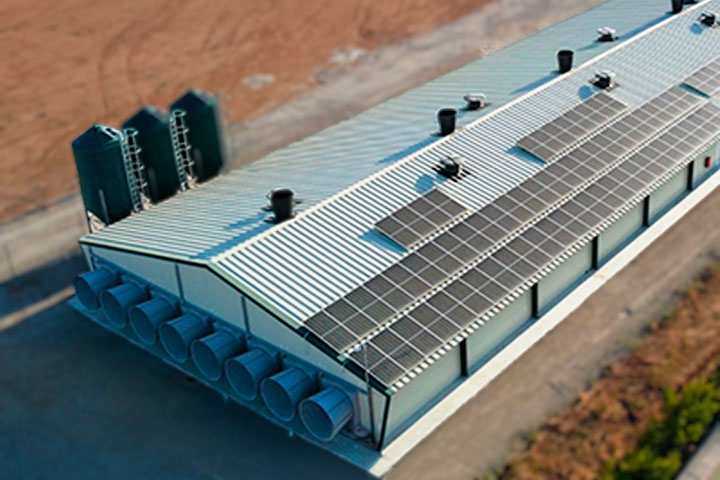 Solectrifier - Imagen 3