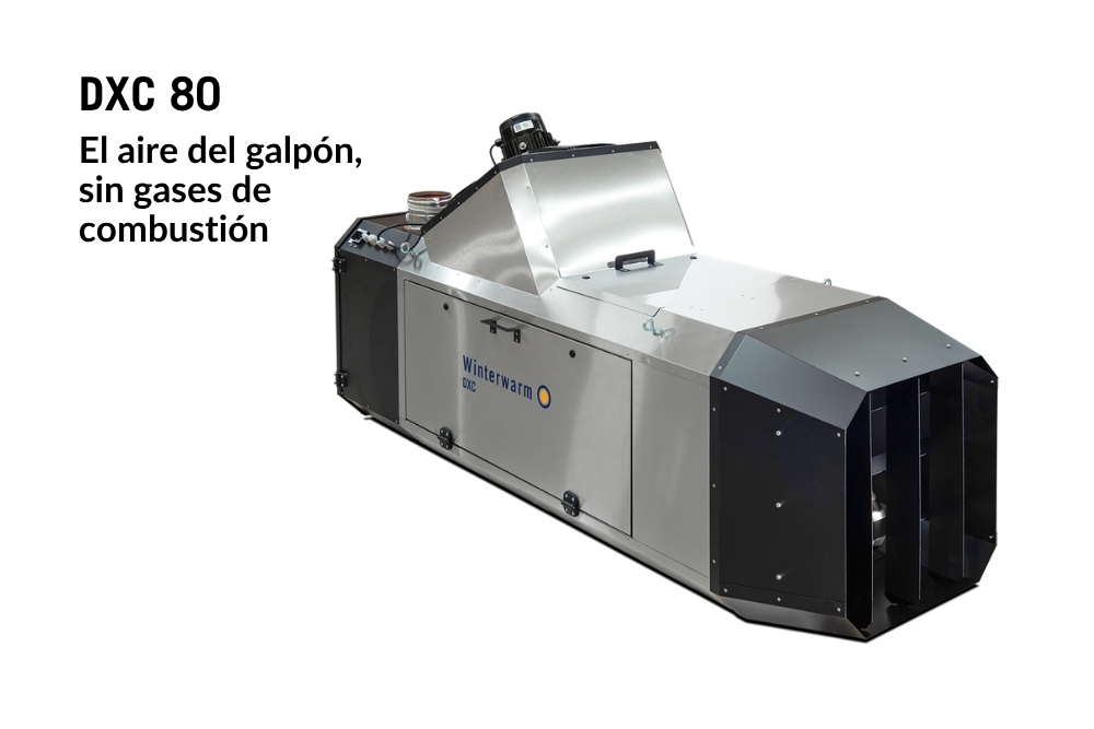 Calefactor DXC 80 - Imagen 1