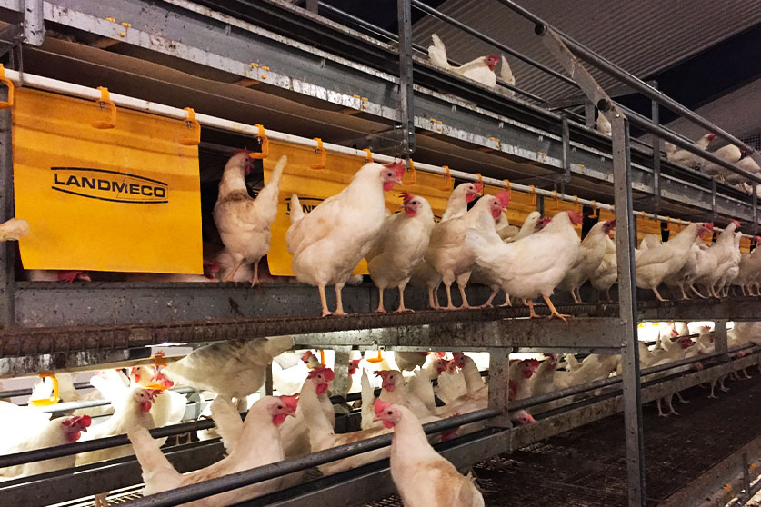 Combo Plus - Imagen 3