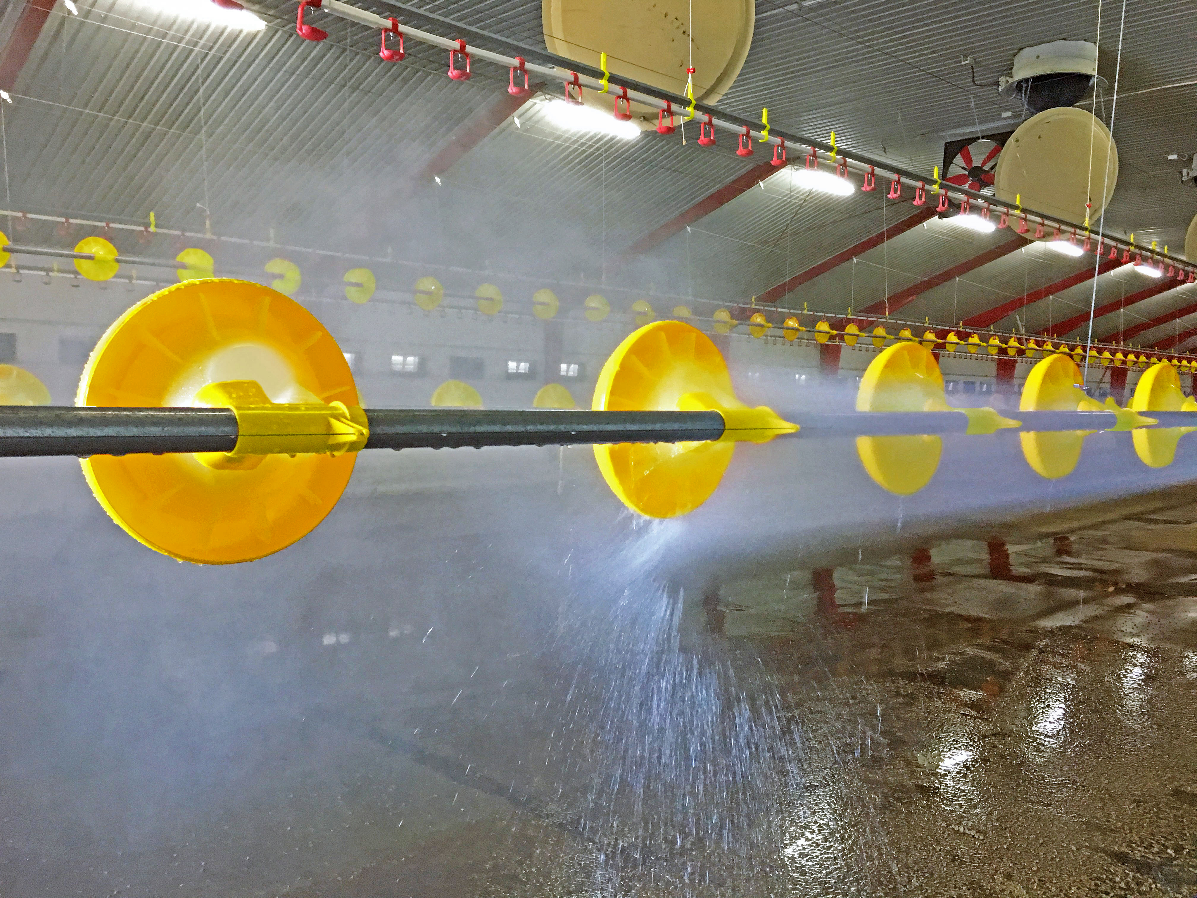 Kick-Off 330° - Imagen 3