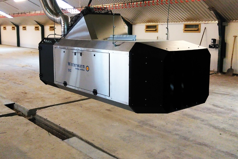 Calefactor DXC 80 - Imagen 4