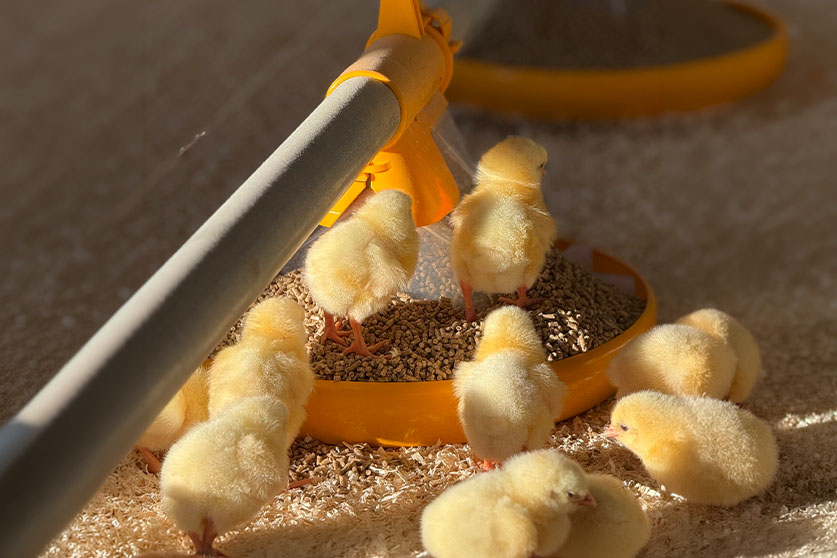 Kick-Off 330° - Imagen 2