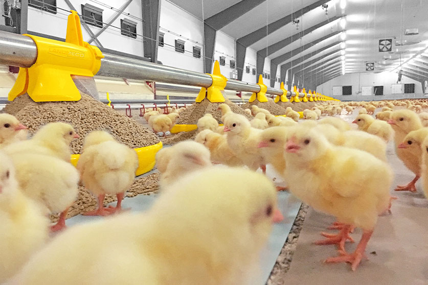 Kick-Off 330° - Imagen 3