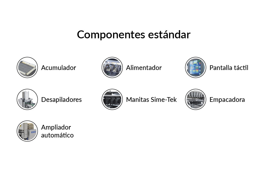 Flashpack - Imagen 2