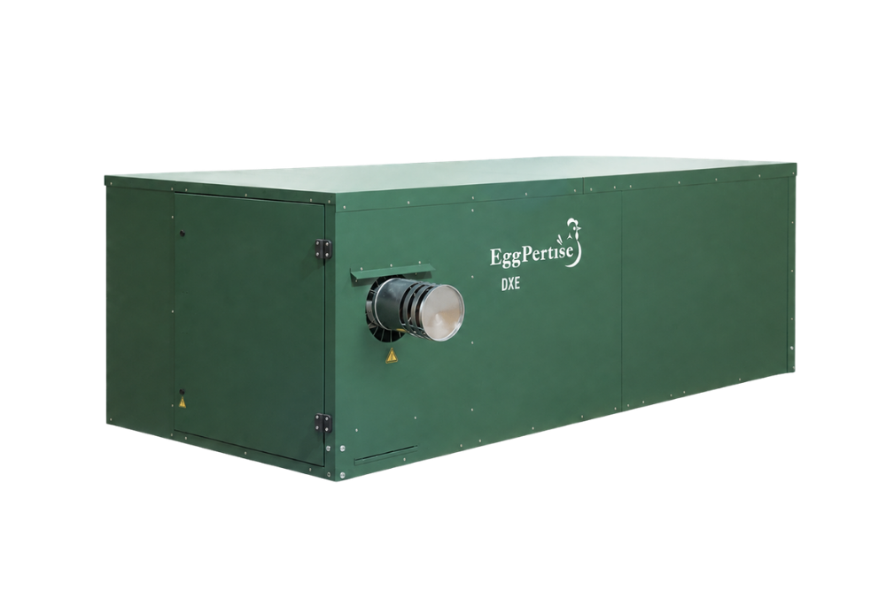 Calefactor DXE 80
