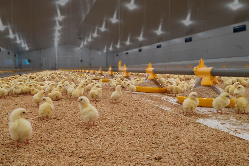 Kick-Off 330° - Imagen 4