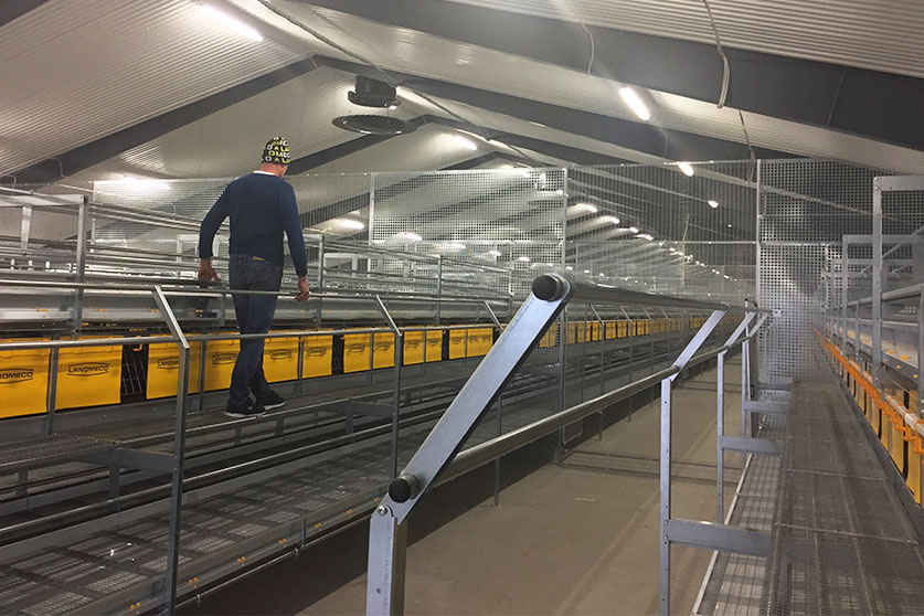 Combo Plus - Imagen 4