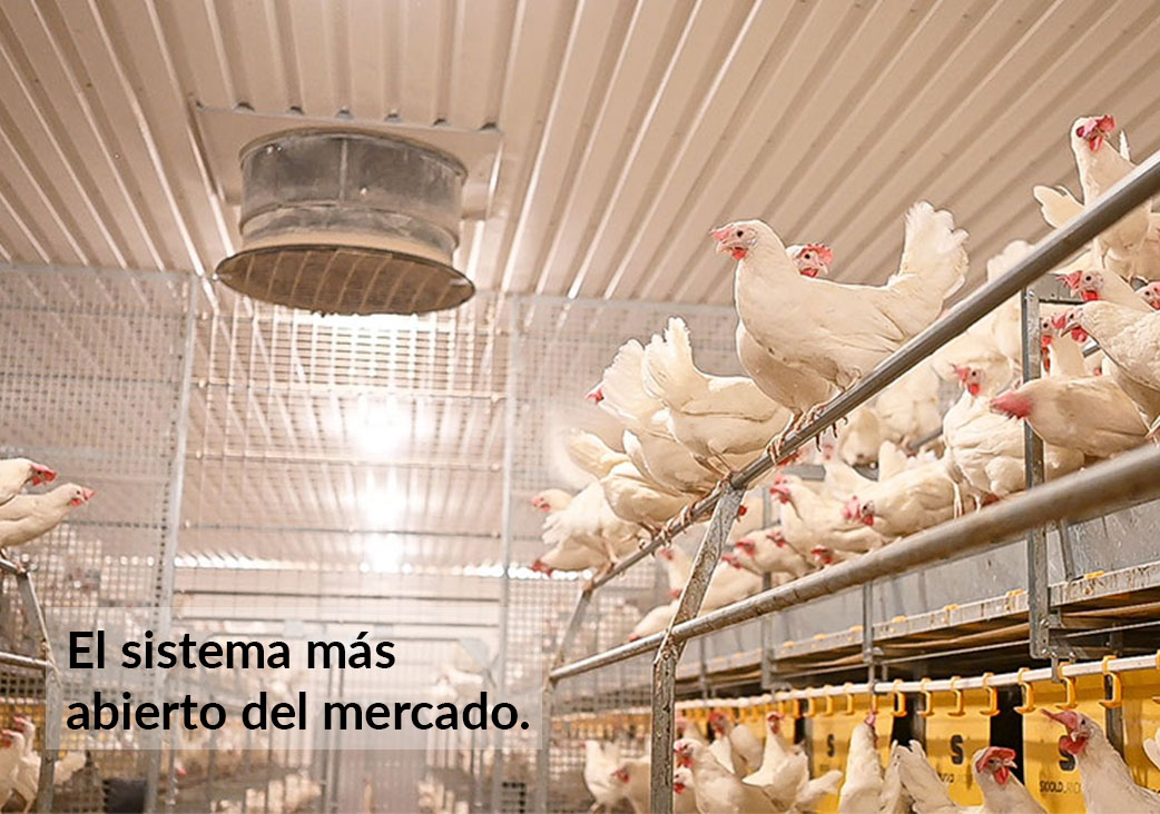 Combo Plus - Imagen 2