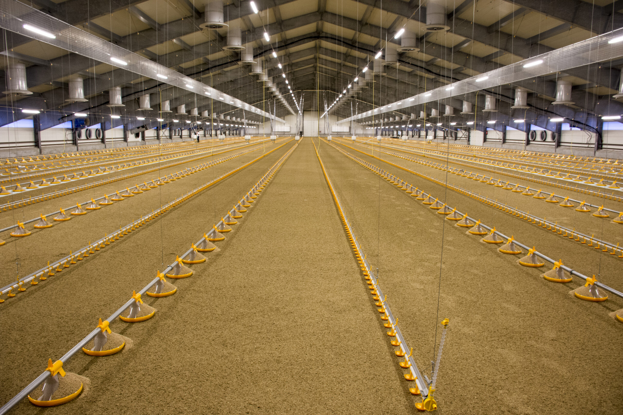 Kick-Off 330° - Imagen 2