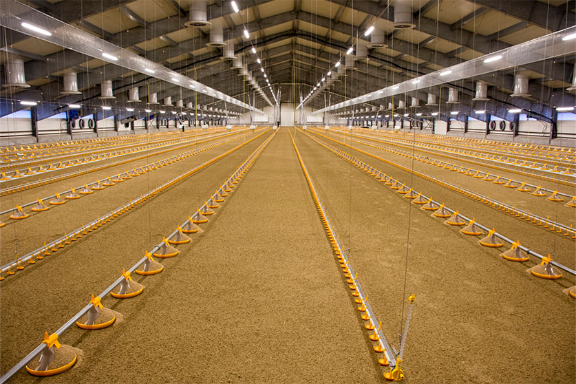 Kick-Off 330° - Imagen 6