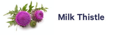 5-milk-thistle