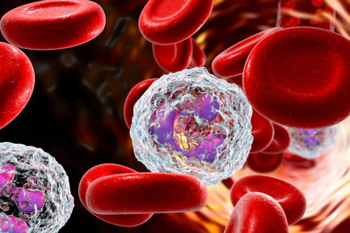 Inflammation, Immunity and the Blood Part 2 | Viome