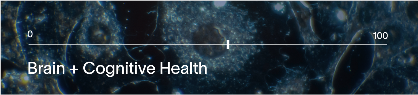 Brain and Cognitive Health Score