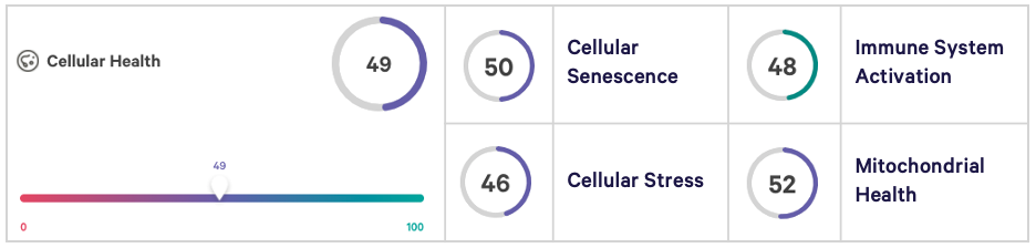 Exploring Ben Greenfield S Health Intelligence Scores Viome