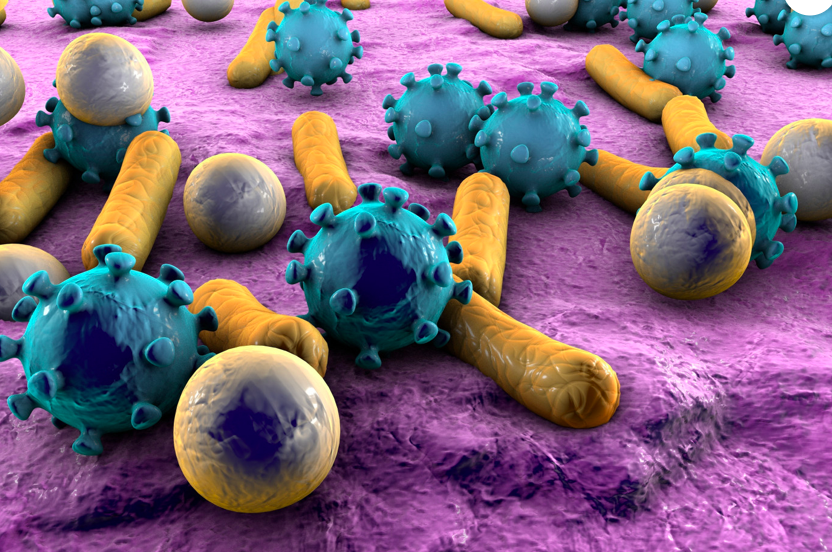 As researchers pursue links between bacteria and human health, startups stand to benefit