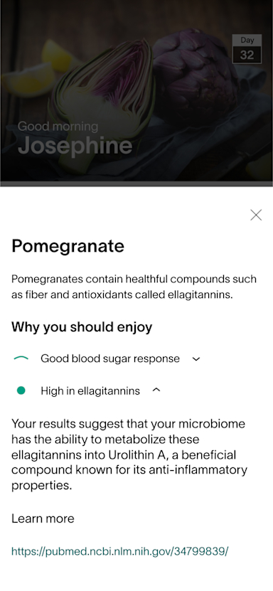 App Screen - Pomegranate