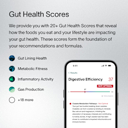 A description of Viome Health Scores, how they work as a comprehensive gut health analysis, and how they assess functions related to digestion, inflammation, nutrient absorption, gut lining health, microbial diversity, and more