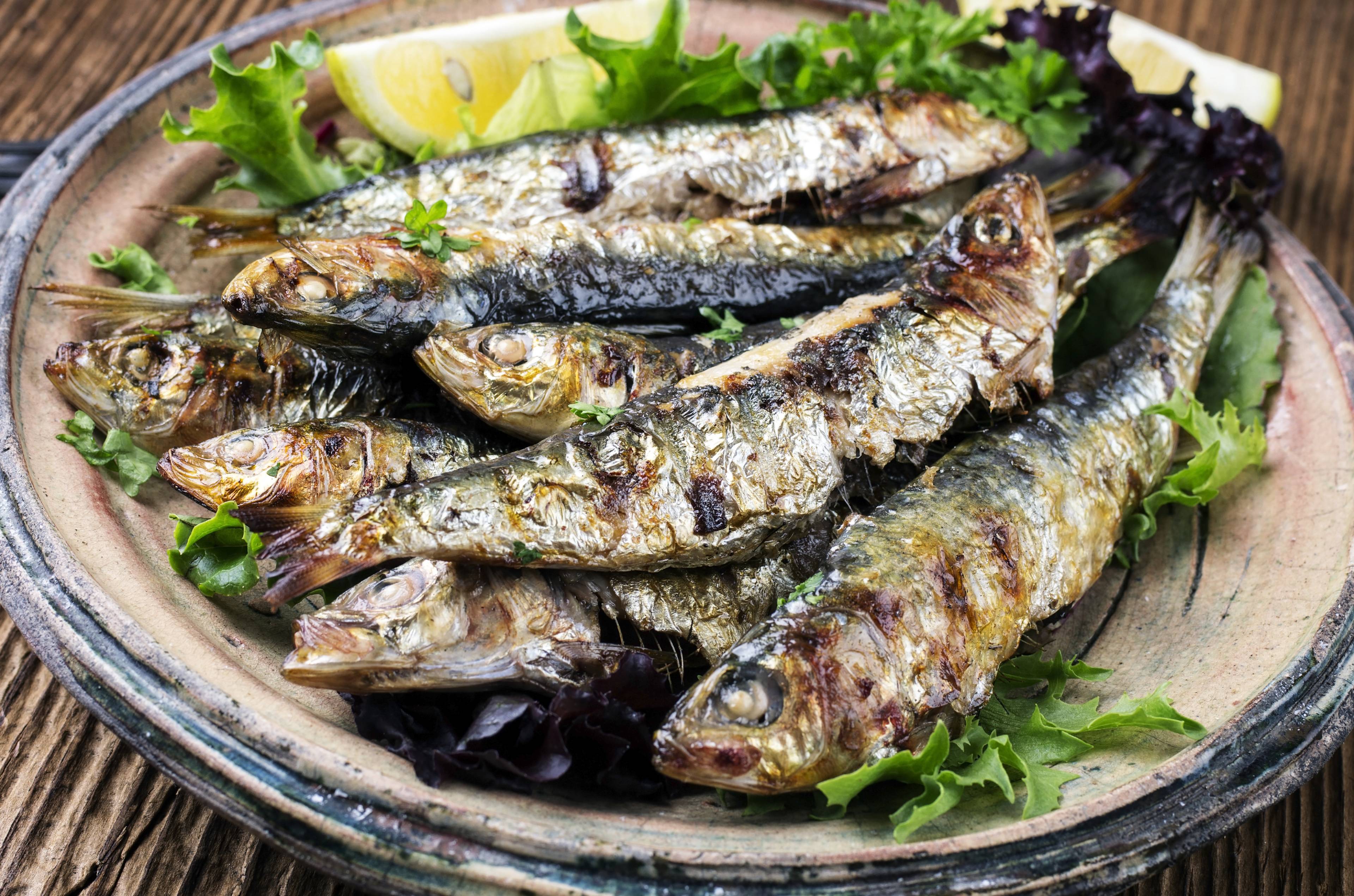 Sardines