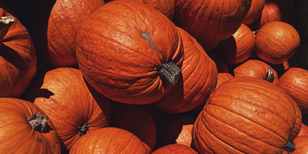 halloween pumpkins