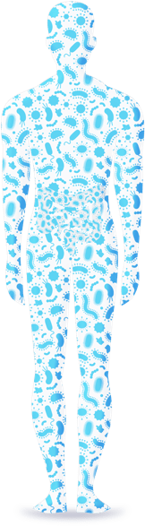 human bacteria