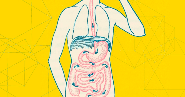 Signs Your Gut Is Unhealthy and Why You Should Fix It