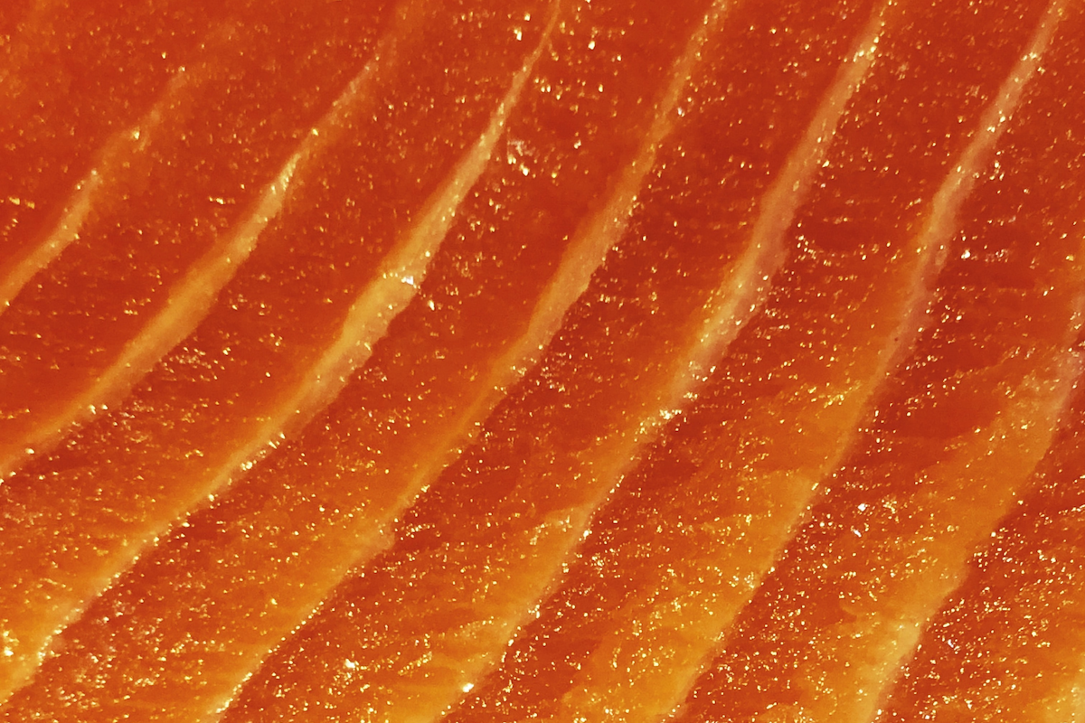 salmon