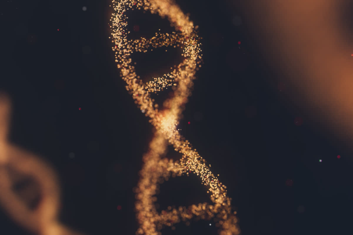 Dna vs Rna