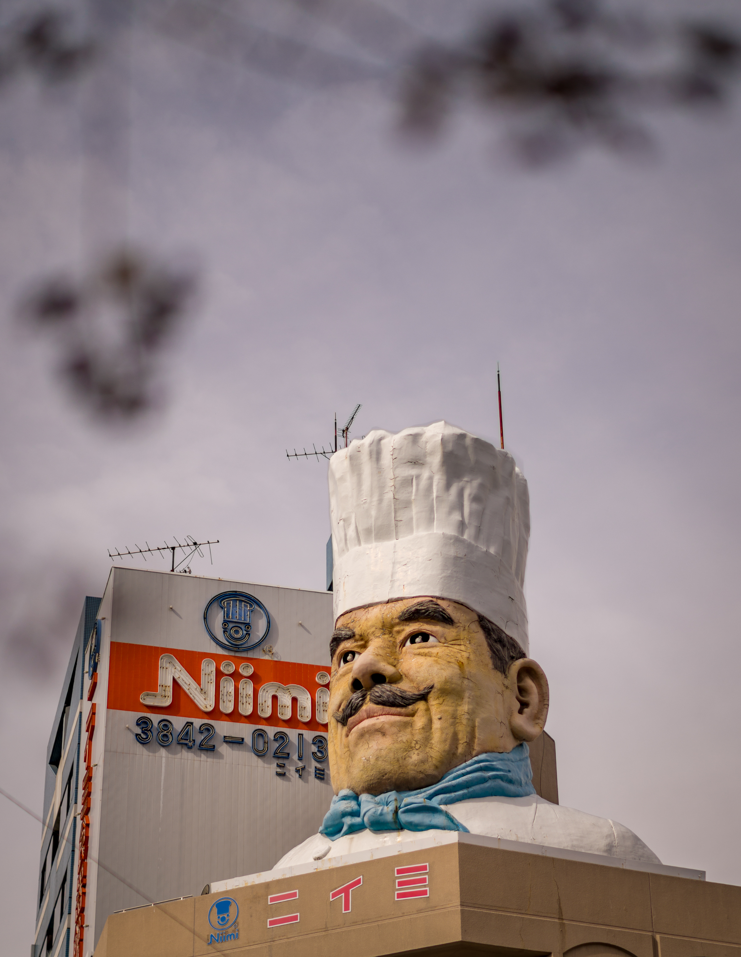 niimi