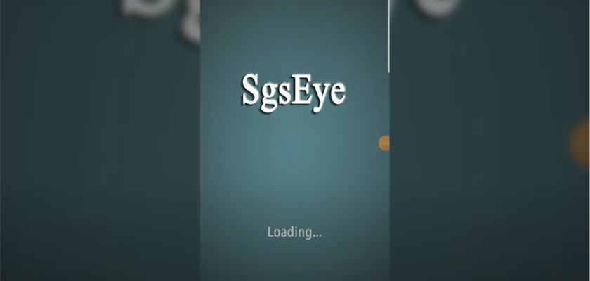 Скачиваем приложение SgsEye и открываем его. 