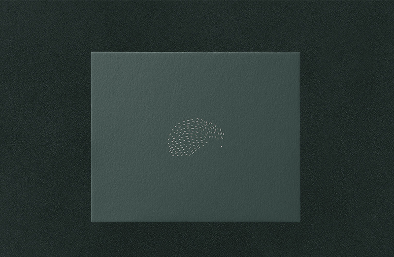 The Blonde Hedgehog Preview