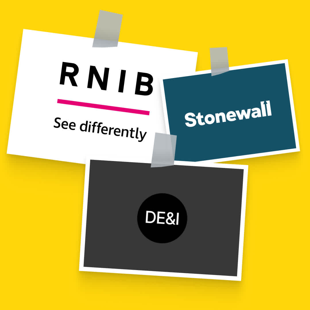 Three examples of organisations: RNIB, Stonewall and DE&I Collective