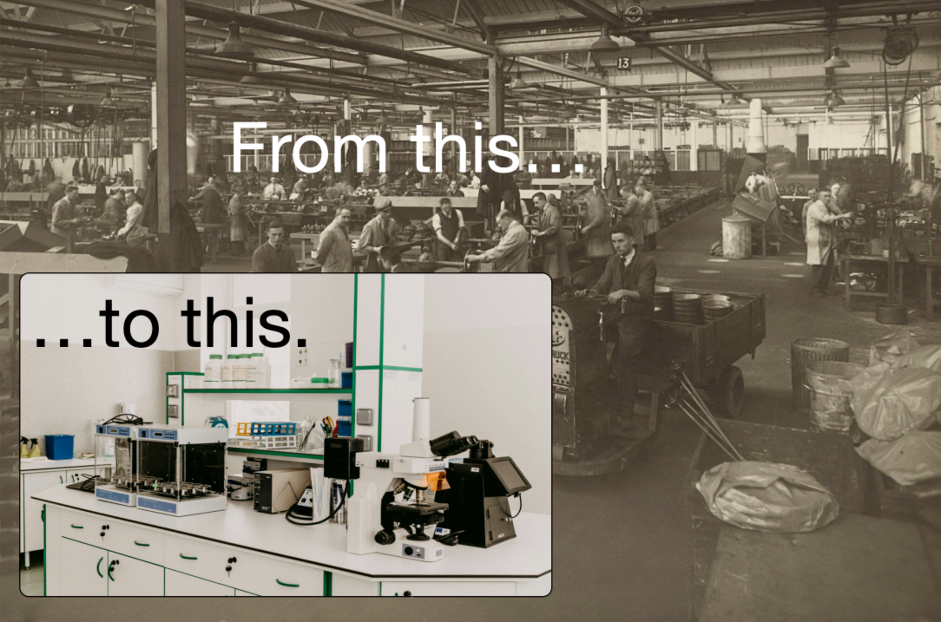 From factory to high skill