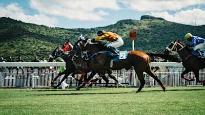 Horse Race