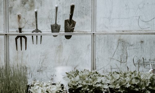 Webinar 5 – Designing decision tools: making sure you select the best