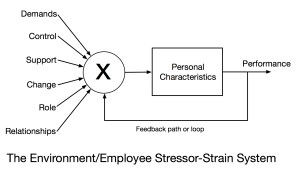 Stressor-Strain-System-Featured Image