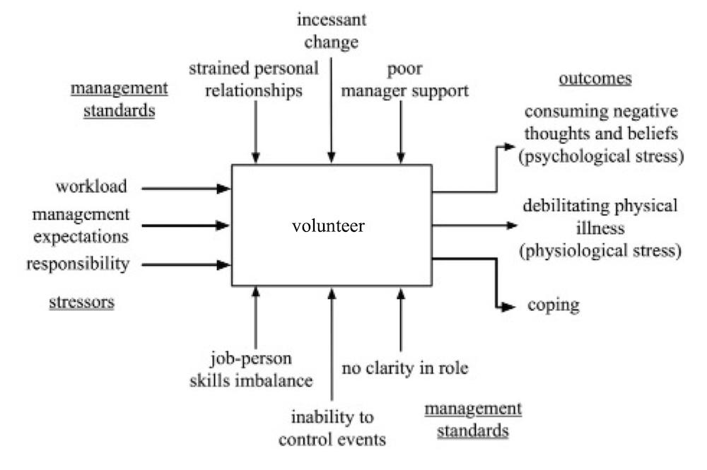 HSE Model for Volunteers