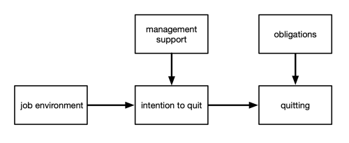 Model linking environment to intention to quit