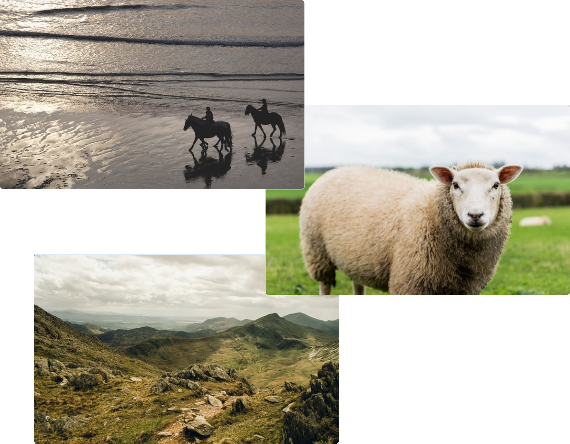 Warum Wales? staticContent:seoTemplage.image Warum Wales? staticContent:seoTemplage.image