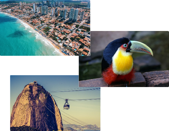 Warum Brasilien? staticContent:seoTemplage.image Warum Brasilien? staticContent:seoTemplage.image